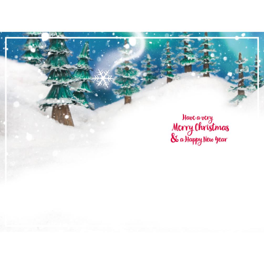Seasons Greetings Photo Finish Me to You Bear Christmas Card Extra Image 1